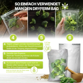 Dryferm Fermbag 100g 3-pack