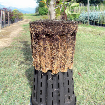 Plant pot Ercole round 7.5 L
