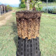 Plant pot Ercole round 7.5 L