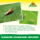 Neudorff Blau-Sticker 8 x 13 cm, 10 st., mot trips