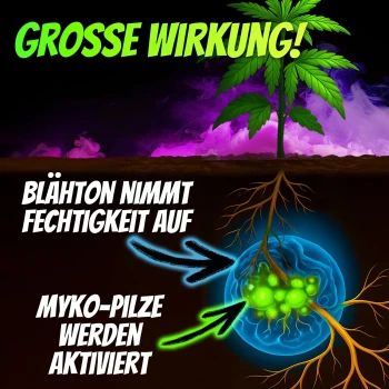 Homegrow24 Mykorrhiza-granulat 100 g
