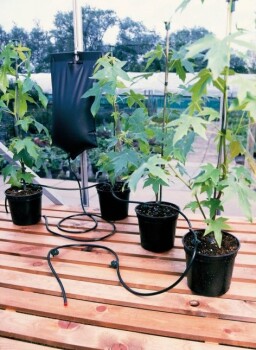 Garland Big Drippa Watering Kit incl. 6 adjustable drippers