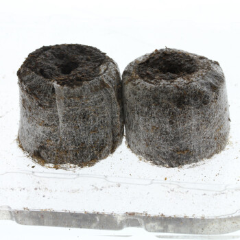 Jiffy Peat Soil Pellet 10 st.