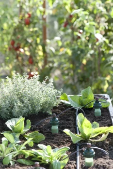 Drip-Blumat 3 metre set for up to 12 plants
