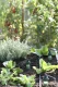 Drip-Blumat 3 metre set for up to 12 plants