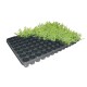 Seedling Palette 42 Tray