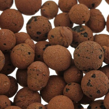 CANNA Aqua Clay Pebbles 45L