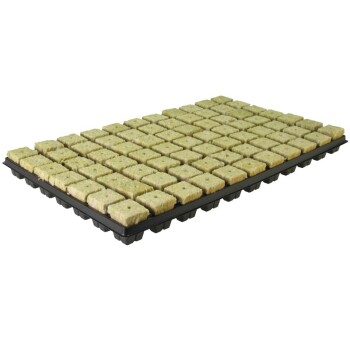 Grodan Rockwool Tray Large Cubes  (77 pcs)