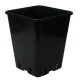 Standard square pot 5,7 L - 11 L