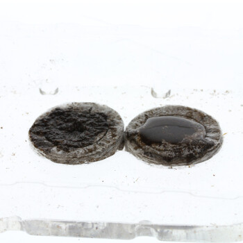 Jiffy Peat Soil Pellet 10, 50, 100, 1000 st.