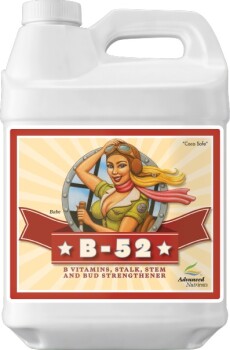 Advanced Nutrients B-52 Vitaminebooster 250ml, 500ml, 1L,...