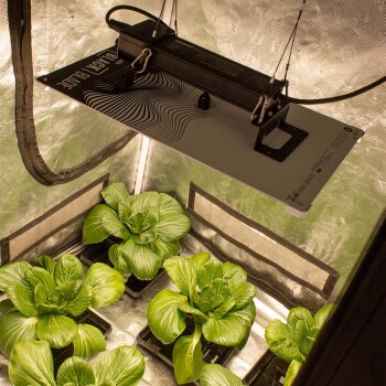 LUMii BLACK Blade LED Grow Light 200w Full Spectrum