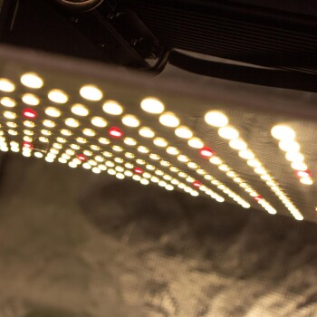 LUMii BLACK Blade LED Grow Light 200w Full Spectrum