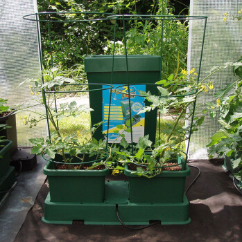 AutoPot Easy2grow Irrigation System 1-6 plants
